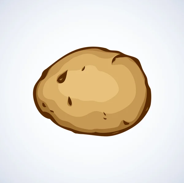 Aardappel. Vector tekening — Stockvector