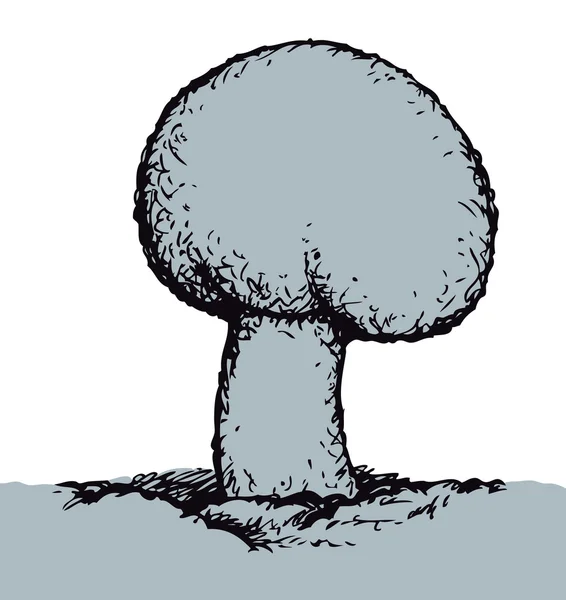 Champignon. Dessin vectoriel — Image vectorielle