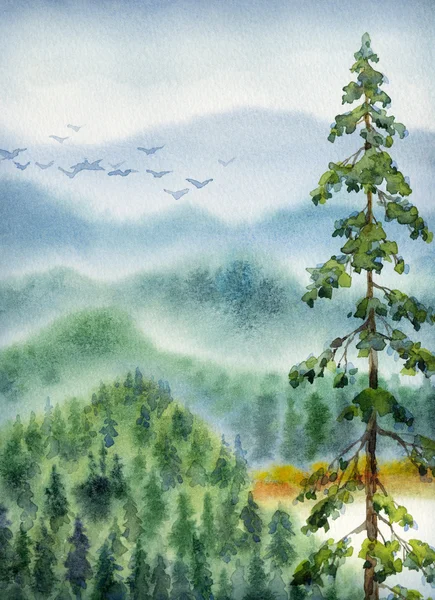 Watercolor landscape. Gray clouds over valley forest — Stock Photo, Image