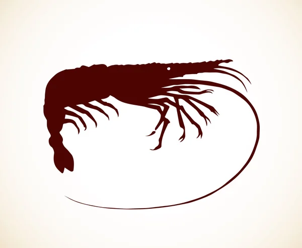 Des crevettes. Dessin vectoriel — Image vectorielle