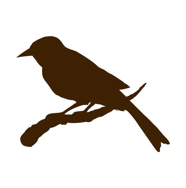 Vogel. Vektorzeichnung — Stockvektor