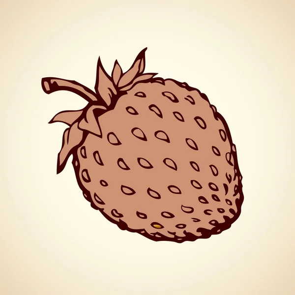 Fraise. Dessin vectoriel — Image vectorielle