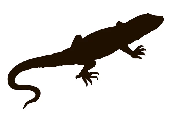 Lagarto. Dibujo vectorial — Vector de stock