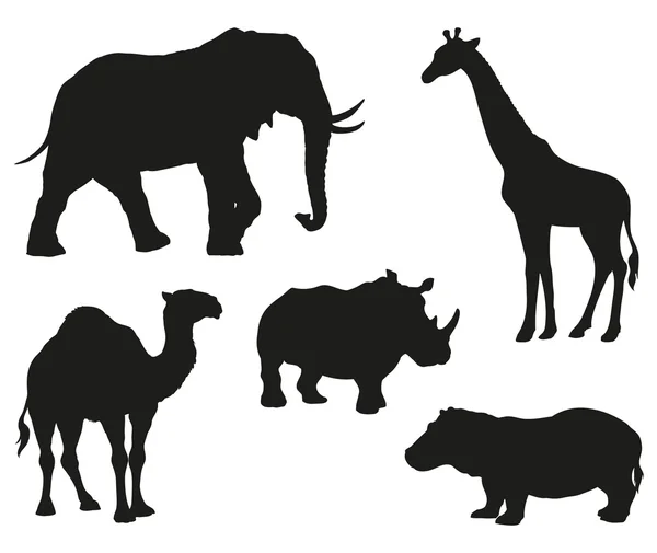 Animais africanos. Desenho vetorial —  Vetores de Stock