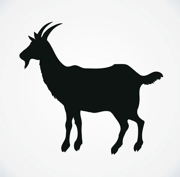 Goat. Vector drawing — Stock Vector