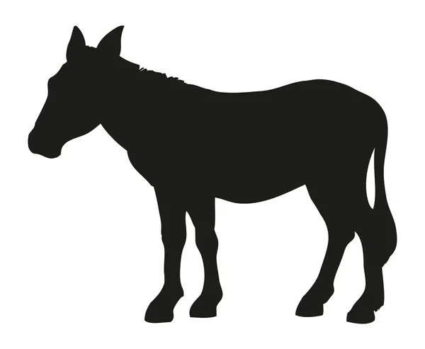 Donkey. Vector drawing — Stock Vector