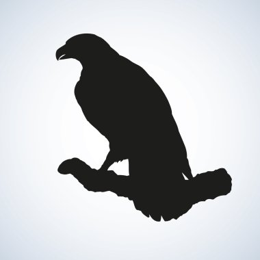 seri çizim vektör 