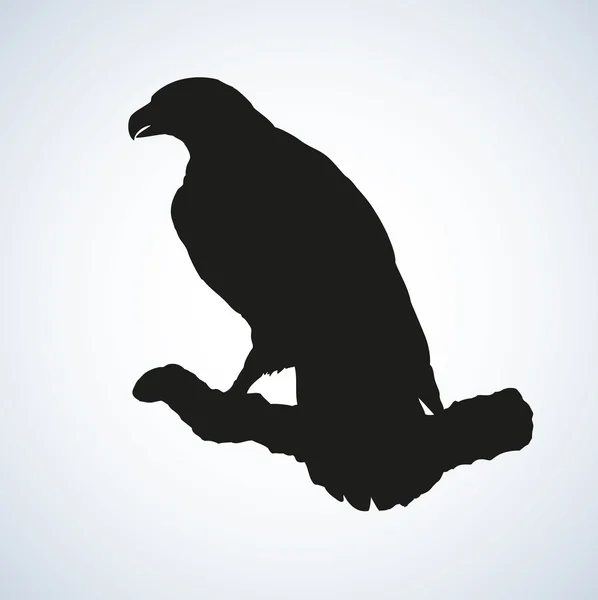 Vektor ritning av en serie "fåglar". Eagle — Stock vektor