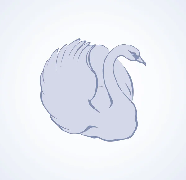 Un par de cisnes elegantes. Dibujo vectorial — Vector de stock