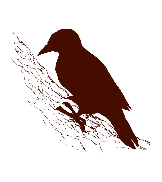 Bird. Dibujo vectorial — Vector de stock