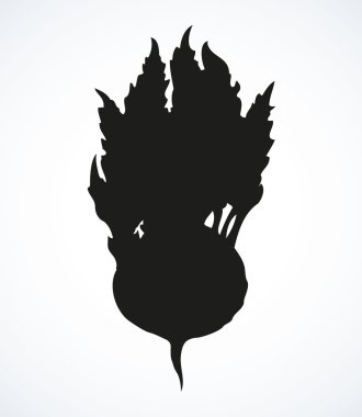 Yetiştirilmektedir. Vektör çizim