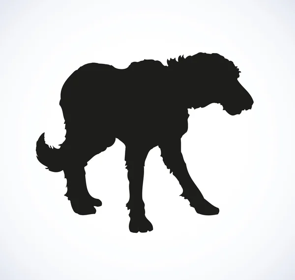 Vektorumrisszeichnung. reinrassige Hunde und Mischlinge — Stockvektor