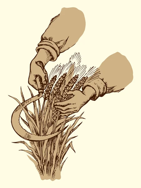 Tondeuse à main faucille de blé. Dessin vectoriel — Image vectorielle