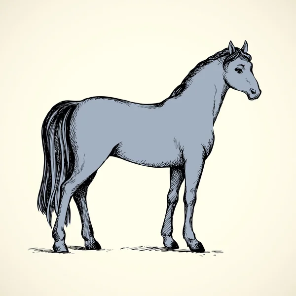 Elegante caballo blanco. Dibujo vectorial — Vector de stock