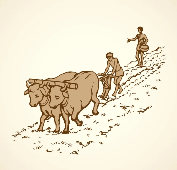 Vector drawing. Primitive agriculture. Peasants treated field — Stock Illustration Vector drawing. Primitive agriculture. Peasants treated field Stock Illustration