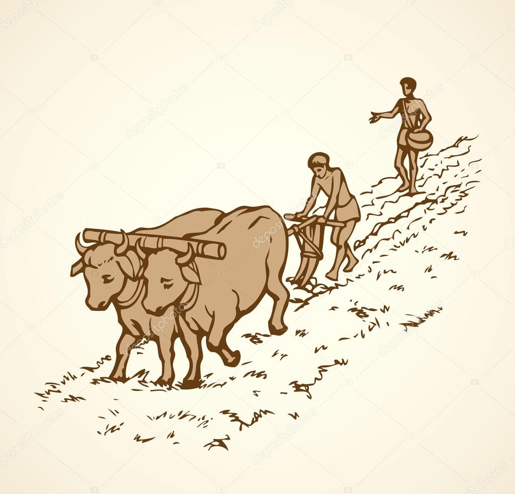 Vector drawing. Primitive agriculture. Peasants treated field