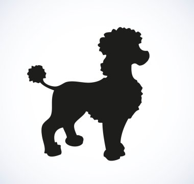 Çizim vektör anahattı. safkan köpekler ve Melez
