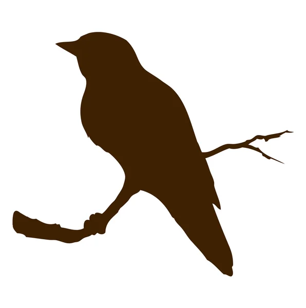 Un oiseau. Dessin vectoriel — Image vectorielle