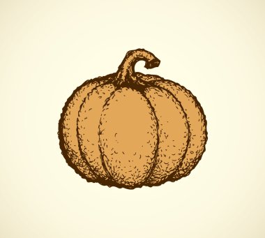 vektör kabak sebze meyve. tek renkli kroki