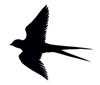 Yakından hoş bir martlet seti. Hafif sanat eserleri metin alanı arkaplanı. Koyu mürekkepli el çizimi resim amblemi çerçeve dekoru tebrik kartı tasarımı. Modern sanatçı karalama çizgisi baskı biçimi