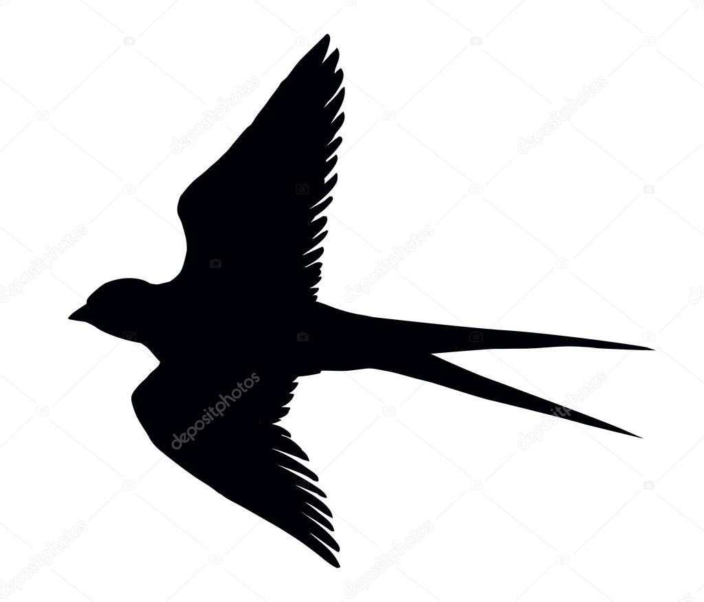 Close up view cute martlet set. Light artwork text space backdrop. Outline dark ink hand drawn picture emblem border frame decor letter greet card design. Modern artist doodle line contour print style