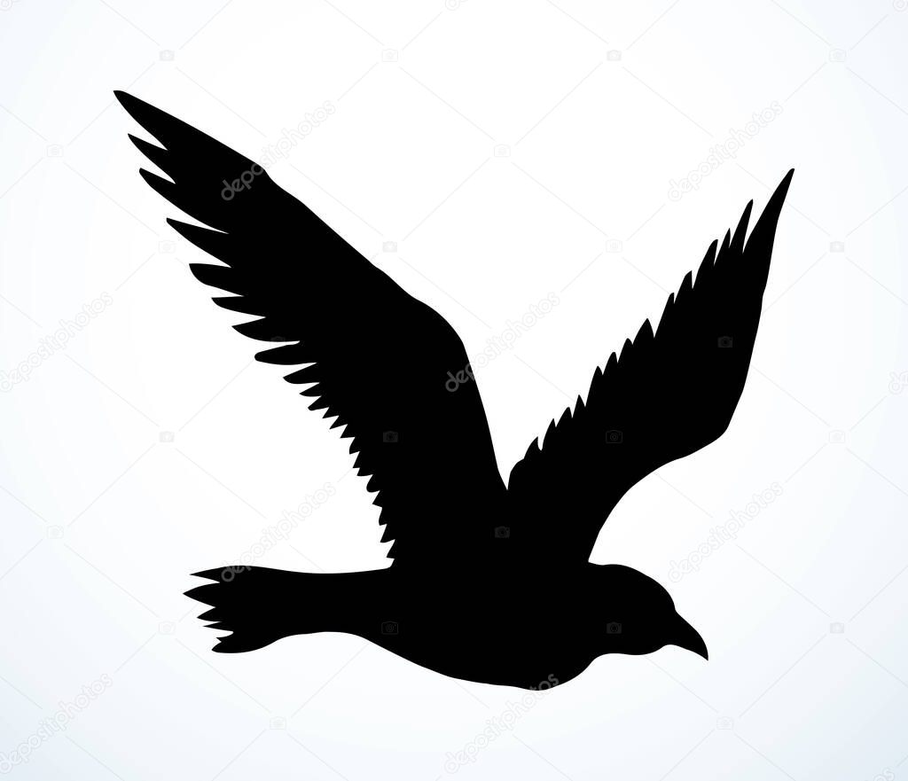 Dark ink pen hand drawn zoo corvidae corone tail feather emblem design retro art doodle pencil cartoon contour print style. Closeup view light paper old large big lake pica beak picture sky text space
