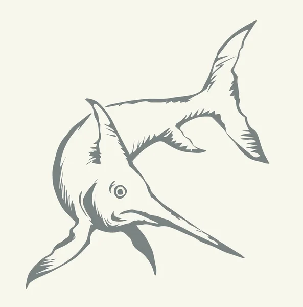 Graue Farbe Xiphias Breitschnabelthunfisch Schwimmen Leichtes Papier Text Raum Hintergrund — Stockvektor