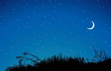 Soyut ekolojik manzaralı tepe manzaralı mavi parlak yıldızlı hilal metin tasarımı. Eski, kurak bahar mevsimi bataklık bataklık çiçekli sazlık kökü. Çiçek bahçesi, sınır sembolü olarak parlıyor. Sanat karikatürü tarzı.