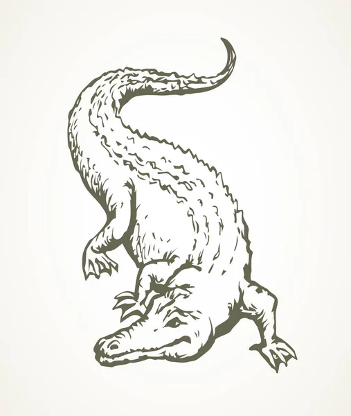 Squamate Nile Vieux Géant Rugueux Crocodylia Sur Sable Encre Noire — Image vectorielle
