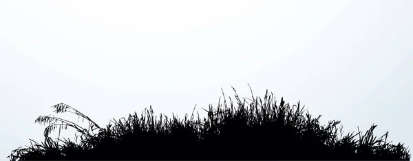Закрыть Эко Падение Тростника Сценический Вид Белого Неба Текстовое Пространство — стоковый вектор