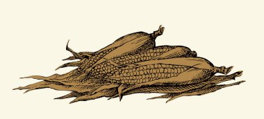 Ana hatları siyah mürekkep kalem. Lezzetli vejetaryen diyet yağı logosu. Pictogram simge tasarımı. Bitki yaprağını kapat, yaşam görüntüsü beyaz metin arkaplanı