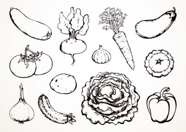 Olgun çiğ biyo-eko yaz diyeti vejetaryen mutfak mutfağı aşçısı. Siyah el çizilmiş botanik çiftliği sebzesi tüp kafa bitkisi logosu simge simgesi klasik beyaz sanat karalama çizgisi çizgi film stili