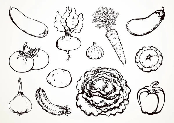 Olgun çiğ biyo-eko yaz diyeti vejetaryen mutfak mutfağı aşçısı. Siyah el çizilmiş botanik çiftliği sebzesi tüp kafa bitkisi logosu simge simgesi klasik beyaz sanat karalama çizgisi çizgi film stili