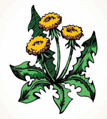 Ekoloji taze taze tohum dekoru açık kağıt metin arkaplanı üzerine kurulmuş. Serbest hat siyah renkli kalem el çizimi eko nesne amblemi tasarımı retro sanat doodle tarzı. Görüntüyü kapat