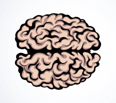 Sağlıklı nöron, ışık arkaplanındaki mantık kısmını hisseder. Çizgi siyah mürekkep eli, sinir korteksi, beyin beyin logosu ve karalama sanatı retro karikatür tarzında resim çizimi çizdi. Yan kesit makro görünümü