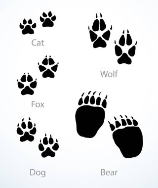 Üst ana hatları kapatın. Şirin, yassı, yassı kediler, kediler, puma pul damlaları, çamur kumları. Kapanış çizgisi porsuk avı hayvanat bahçesi veterineri resim tasarımı modern web sanat karalama tarzı.