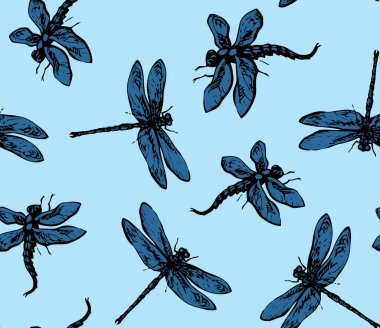 Arka planda büyük şirin bir anizoptera. Koyu gri renkli el çizimi logo resimli tasarım eskimiş sanatsal karalama dış hatları kağıt üzerine oyma stili kalem. Ayrıntılı görünümü kapat