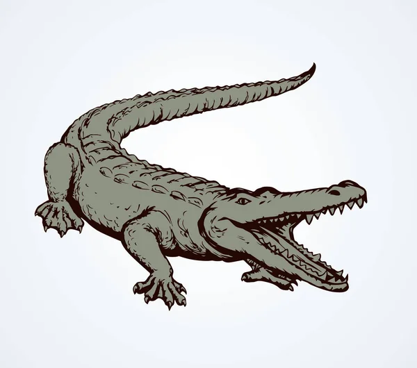 Squamate Nile Oude Grote Ruwe Schilferige Crocodylia Wit Zand Vrije — Stockvector