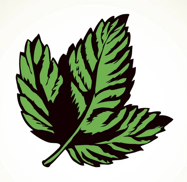 Outline Inchiostro Nero Disegnato Mano Emblema Etichetta Design Set Retrò — Vettoriale Stock