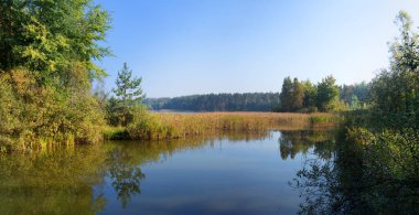 El çizimi parlak sanat eserleri sessiz cennet eskiz kâğıdı arka plan metin alanı. Açık gri renk sakin alacakaranlık karanlık tepe bataklık dere tarlası çalı bitkisi sonbahar dumanı sisli okyanus manzarasını yansıtıyor