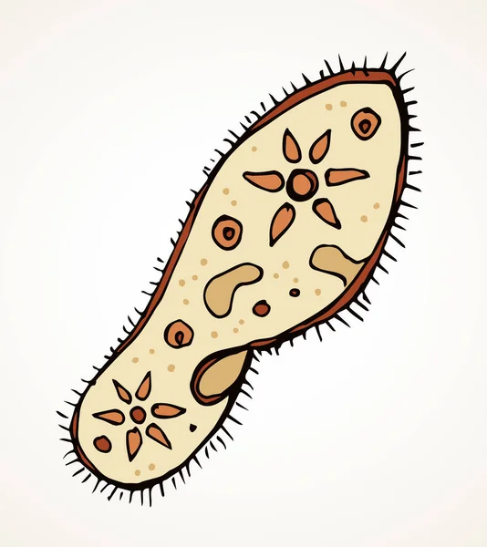 Abstrakte Ovale Form Winzigen Protistischen Amöben Organelle Pellikel Parasiten Element — Stockvektor