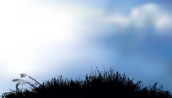 Fermer Eco Automne Canne Roseau Brouillard Pluie Vue Panoramique Blanc — Image vectorielle