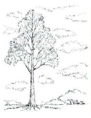 Büyük bir huş ağacı dalı sahne görüntüsü. Beyaz bulutlu arka plan. Koyu siyah mürekkep el çizimi logo pictogram simge işaret tasarımı resim retro doodle soyut kalem kağıt metin alanı üzerinde