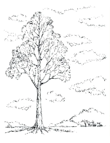 Büyük bir huş ağacı dalı sahne görüntüsü. Beyaz bulutlu arka plan. Koyu siyah mürekkep el çizimi logo pictogram simge işaret tasarımı resim retro doodle soyut kalem kağıt metin alanı üzerinde