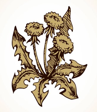 Ekoloji taze taze tohum dekoru açık kağıt metin arkaplanı üzerine kurulmuş. Serbest hat siyah renkli kalem el çizimi eko nesne amblemi tasarımı retro sanat doodle tarzı. Görüntüyü kapat