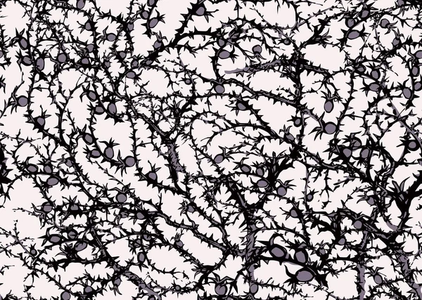 Pinggul Musim Gugur Tua Mawar Pohon Abu Cahaya Langit Garis - Stok Vektor