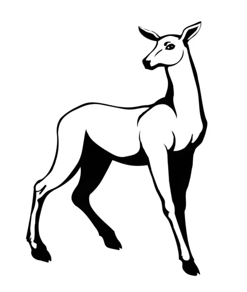 Cute Elegant Spot Adult Hoof Elk Goat Dama Beast Muzzle — Stock Vector