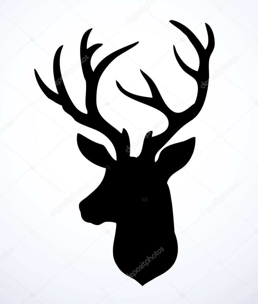 Large strong noble brown spot beast rack look. Outline black hand drawn red emblem design set picture retro beauty art zoology contour print style. Close up outdoor view paper wall text space backdrop