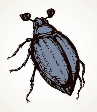 Açık kağıda yazılı arkaplanda tatlı bir kadın kavunzarı. Serbest doğrusal koyu kahverengi mürekkep el çizimi resim amblemi. Sanat eskiz yazdırma stili. Mikro detay görünümünü kapat