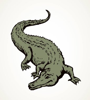 Squamate nile old giant rough scaly Crocodylia on sand. Freehand outline dark black ink hand drawn zoo logo emblem pictogram design in retro art doodle cartoon engrave print style on paper text space vector Squamate nile old giant rough scaly Crocodylia on sand. Freehand outline dark black ink hand drawn zoo logo emblem pictogram design in retro art doodle cartoon engrave print style on paper text space vector